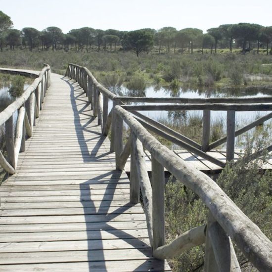 Sendero Lagunas del Huerto y las Pajas