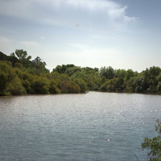 Sendero Charco del Acebrón