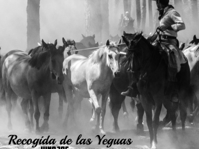 Recogida de las Yeguas