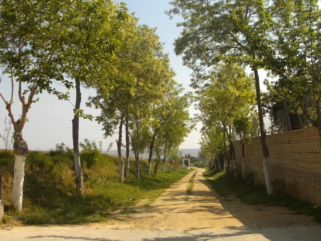 Hacienda Torralba