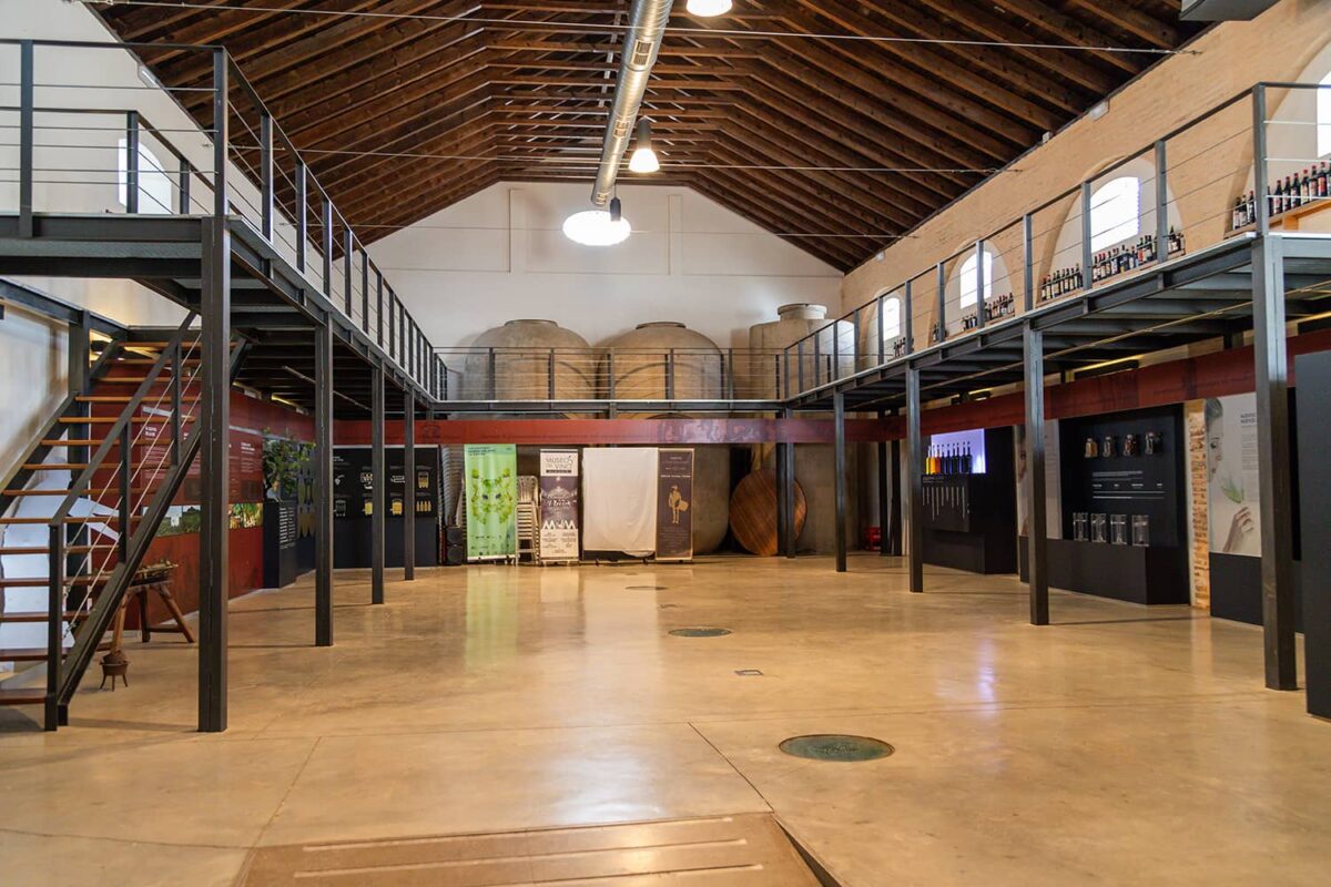 Museo del Vino